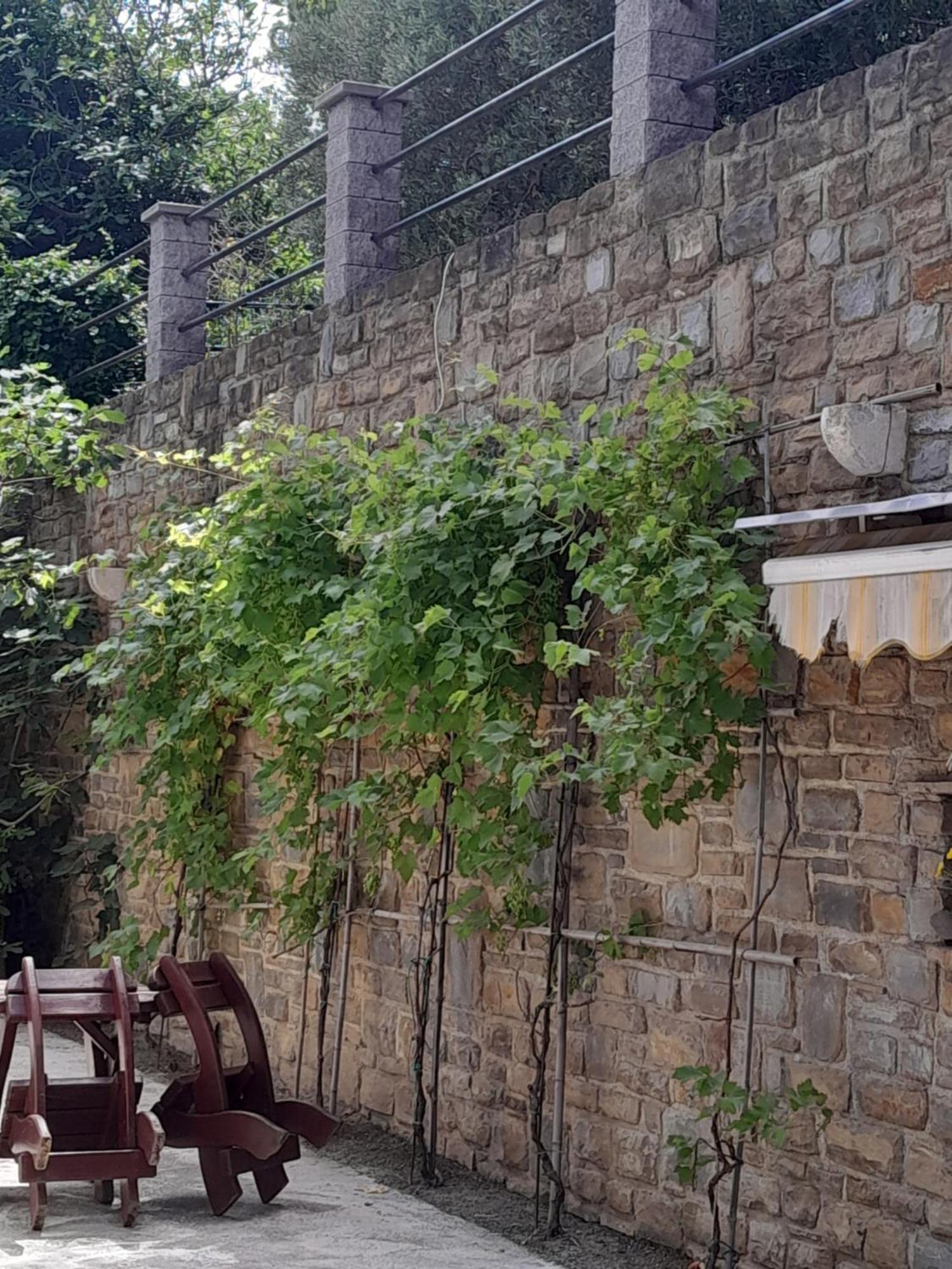 Apartmaji Apartment Strunjan